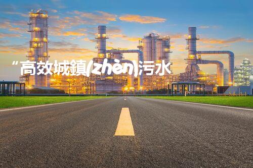 “高效城鎮(zhèn)污水處理流程，守護(hù)碧水藍(lán)天新篇章”